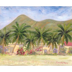 Les Cocotiers De Spring