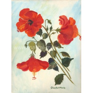Hibiscus Rouge