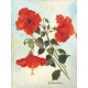 Hibiscus Rouge